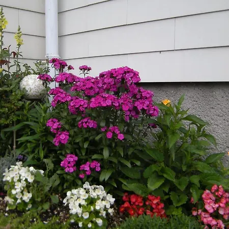 Haus Schraml Lägenhet *